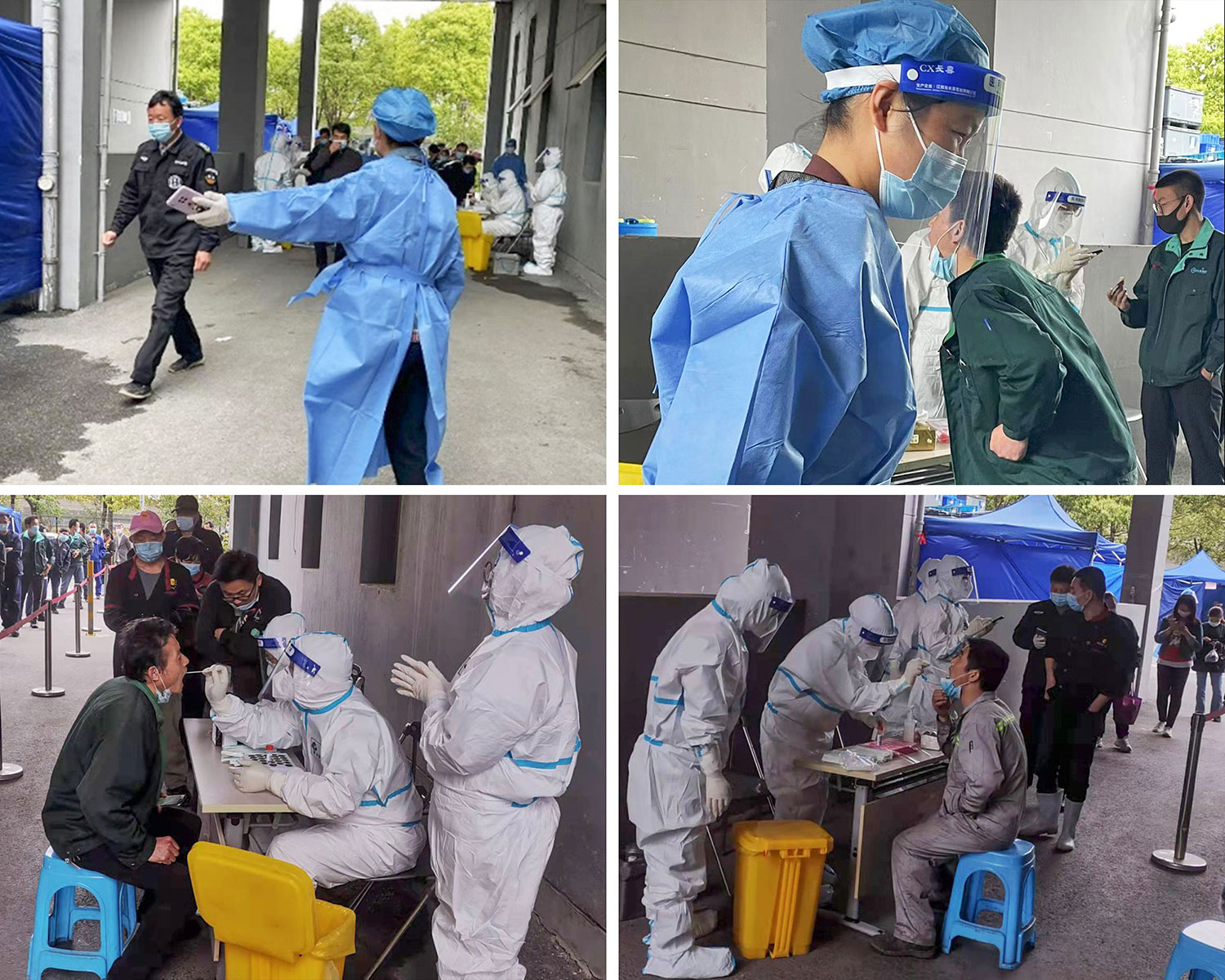 1651211388241891iMsh.jpg 圖組.jpg